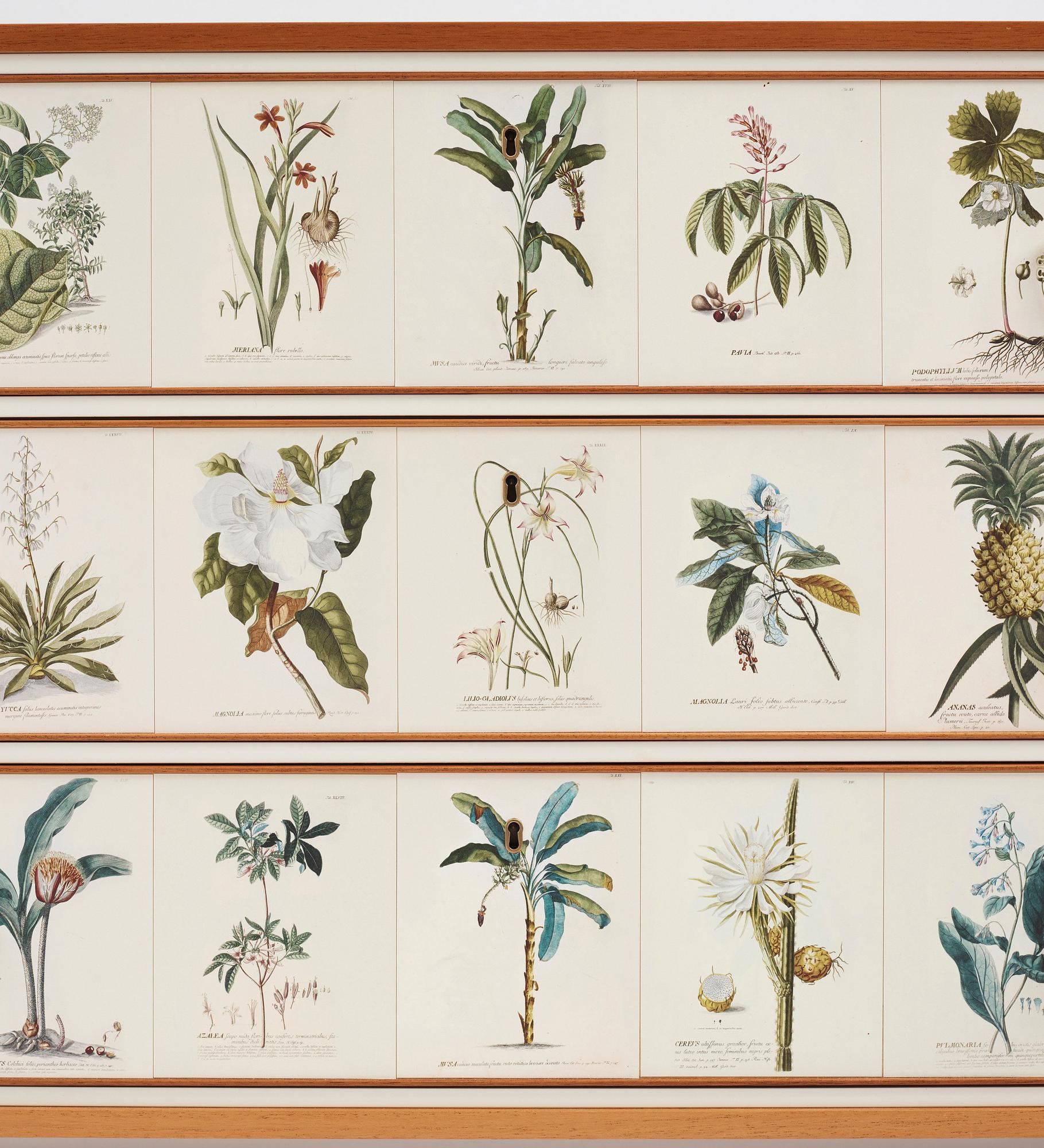 Josef Frank, Florabyrå Linné", jubileumsutgåva, Firma Svenskt Tenn 2007, modell 1050, ed. 43/50.