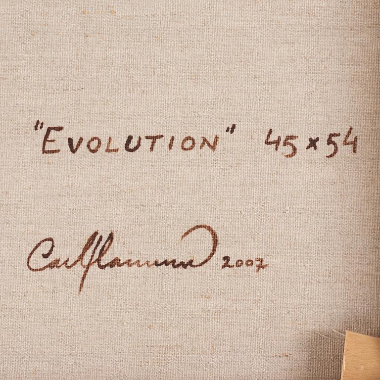Carl Hammoud, "Evolution".