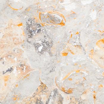 FOSSIL.