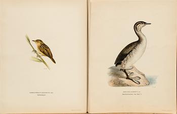 FROM VON WRIGHT "SVENSKA FÅGLAR", 50 pcs, A. Börtzells. 1924.