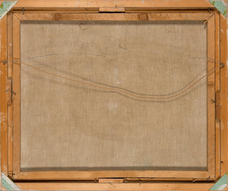 Into Linturi, "Köyliönjärvi".