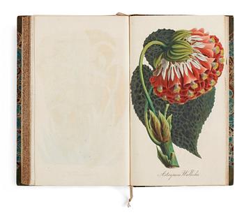 J. E. VON REIDER, Annalen Der Blumisterei für gartenbesitzer, Kunstgärtner, Saamenhändler und Blumenfreunde, 12 vol.