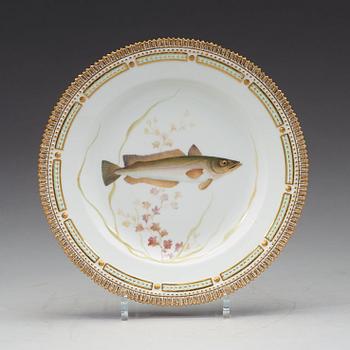 TALLRIKAR, sex stycken, porslin. "Fauna Danica", Kunglig Dansk, 1900-tal.