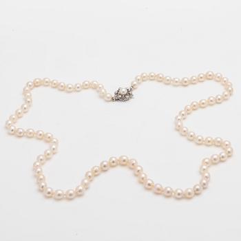 Necklace of cultured pearls, clasp of 18K white gold with diamonds.