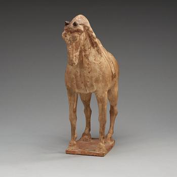 A pottery figure of a horze, Tang dynasty (618-907).