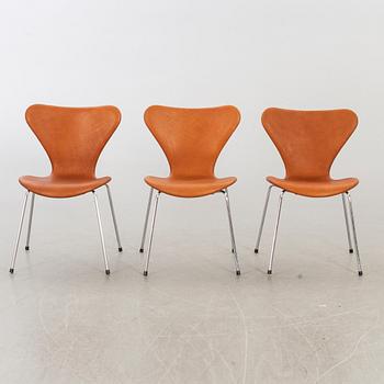 ARNE JACOBSEN, a set of six "Series 7 Chair" for Fritz Hansen.