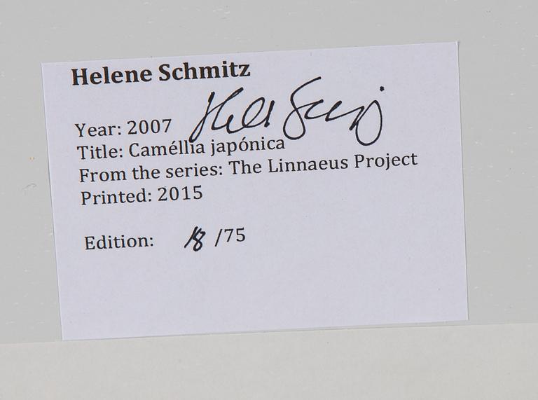 Helene Schmitz, photo, 2007, signed 8/75 verso.