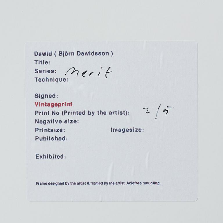 Dawid (Björn Dawidsson), "B013 ur serien Merit", 2006.