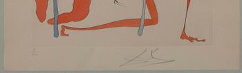 SALVADOR DALÍ, litografi, sign. och numr. 6/300.