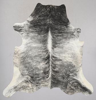 KOSKINN, 1900-/2000-tal.