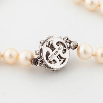 COLLIER, med odlade pärlor.