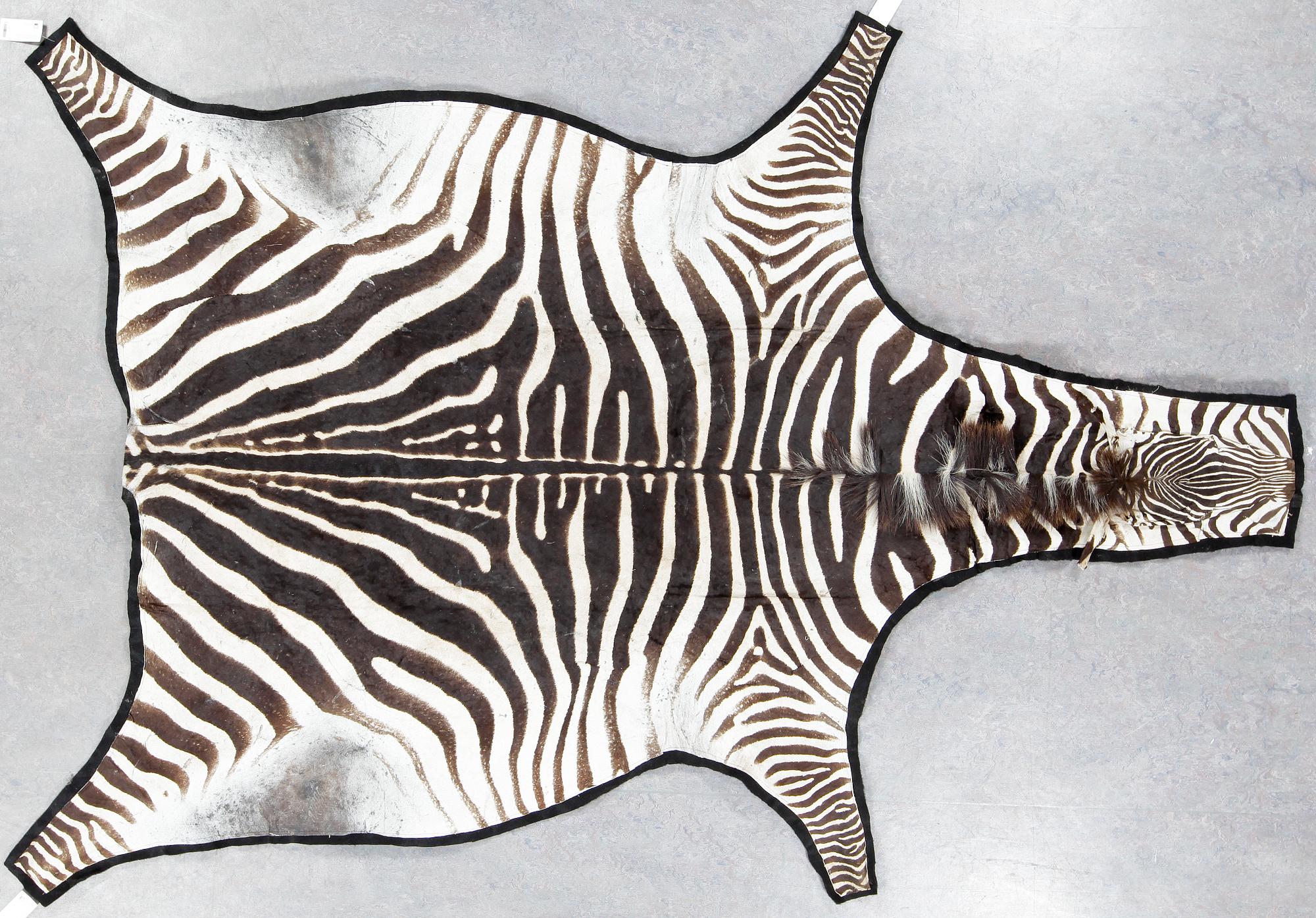 ZEBRASKINN, 1900/2000-tal. Ca 300 x 170.