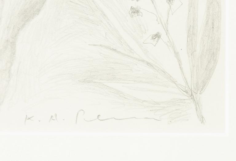 Karl Axel Pehrson, Flower Sketches.