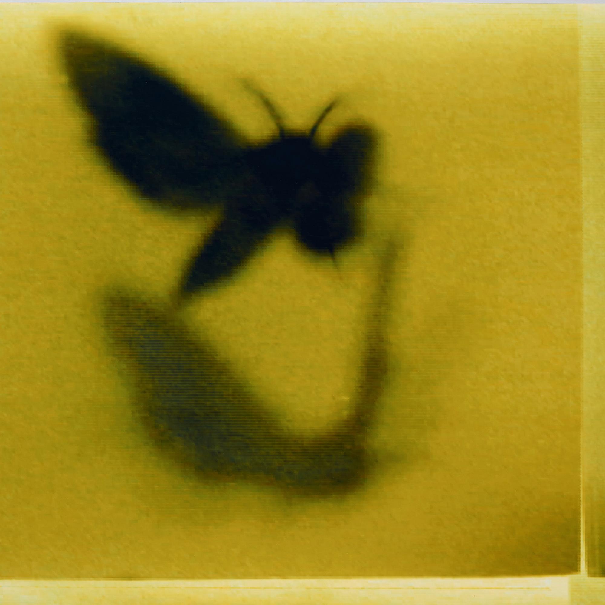 Mike & Doug Starn (Starn Twins), "ATL Film Still #8", 2000-2005.