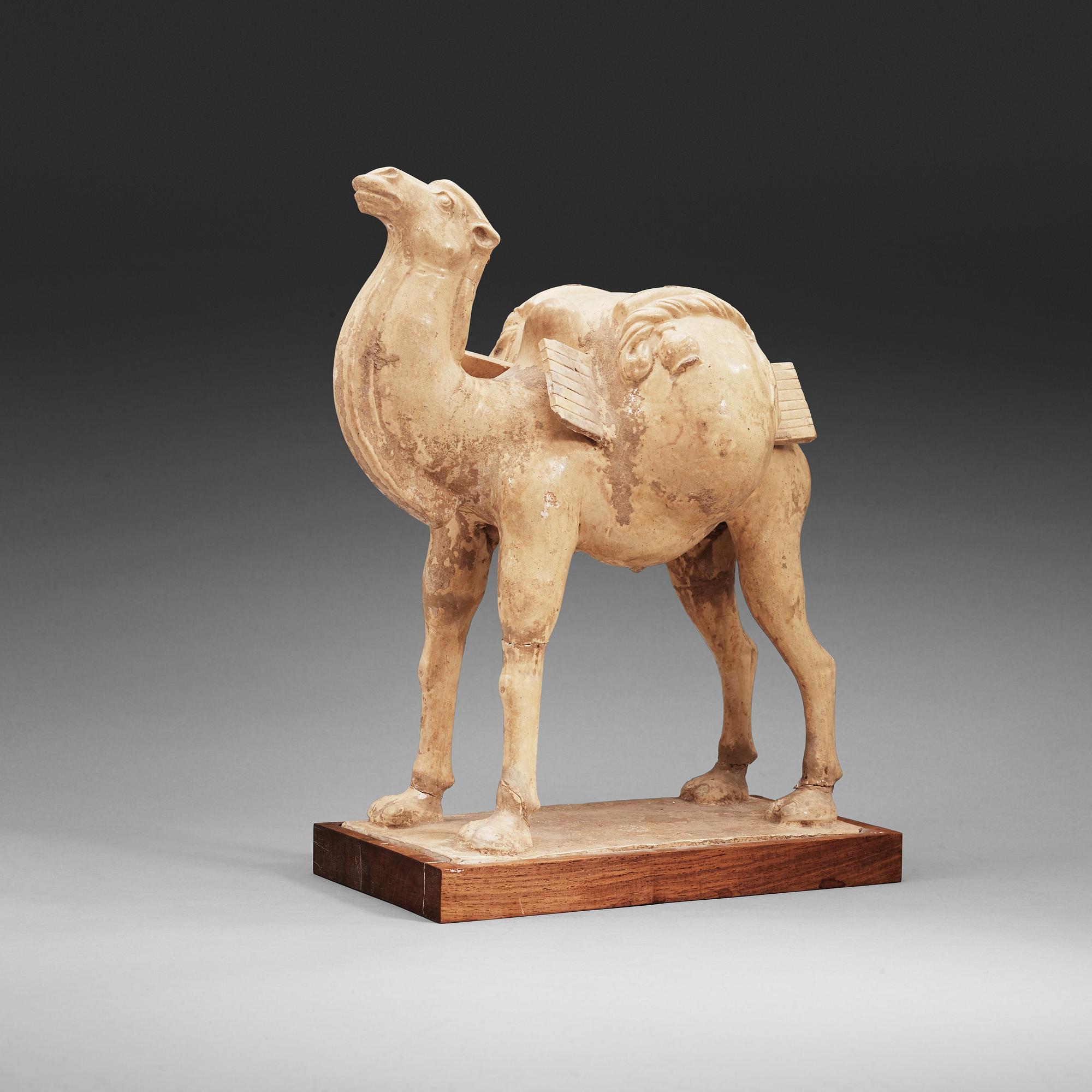 A yellow glazed figure of a camel, Tang dynasty (608-906).