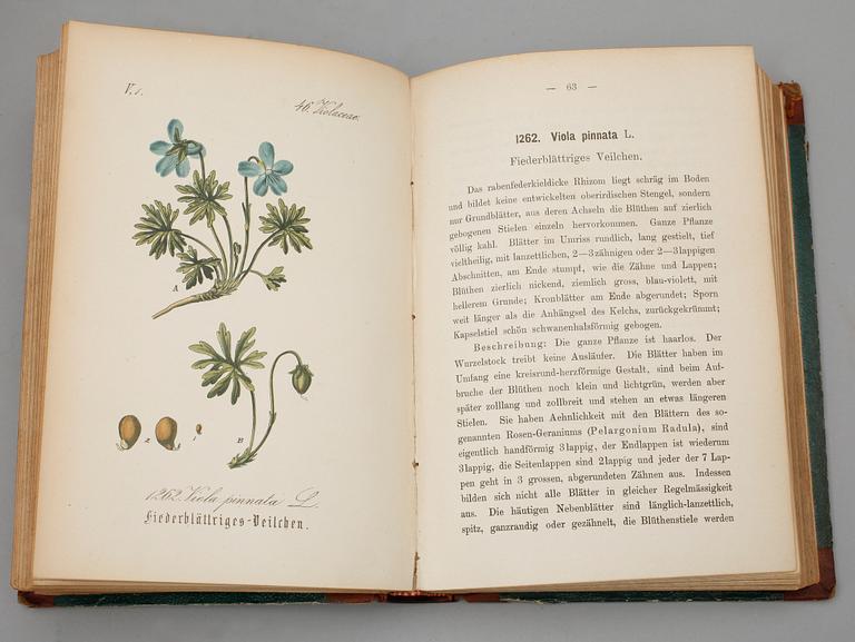 FLORA, 30+1 band, "Flora von Deutschland", utg. av D.F.L von Schlectendal mfl, Gera-Untermhaus 1880-88.