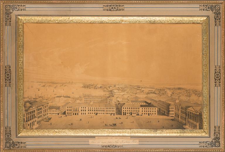 Wladimir Swertschkoff, lithograph, 19th century.
