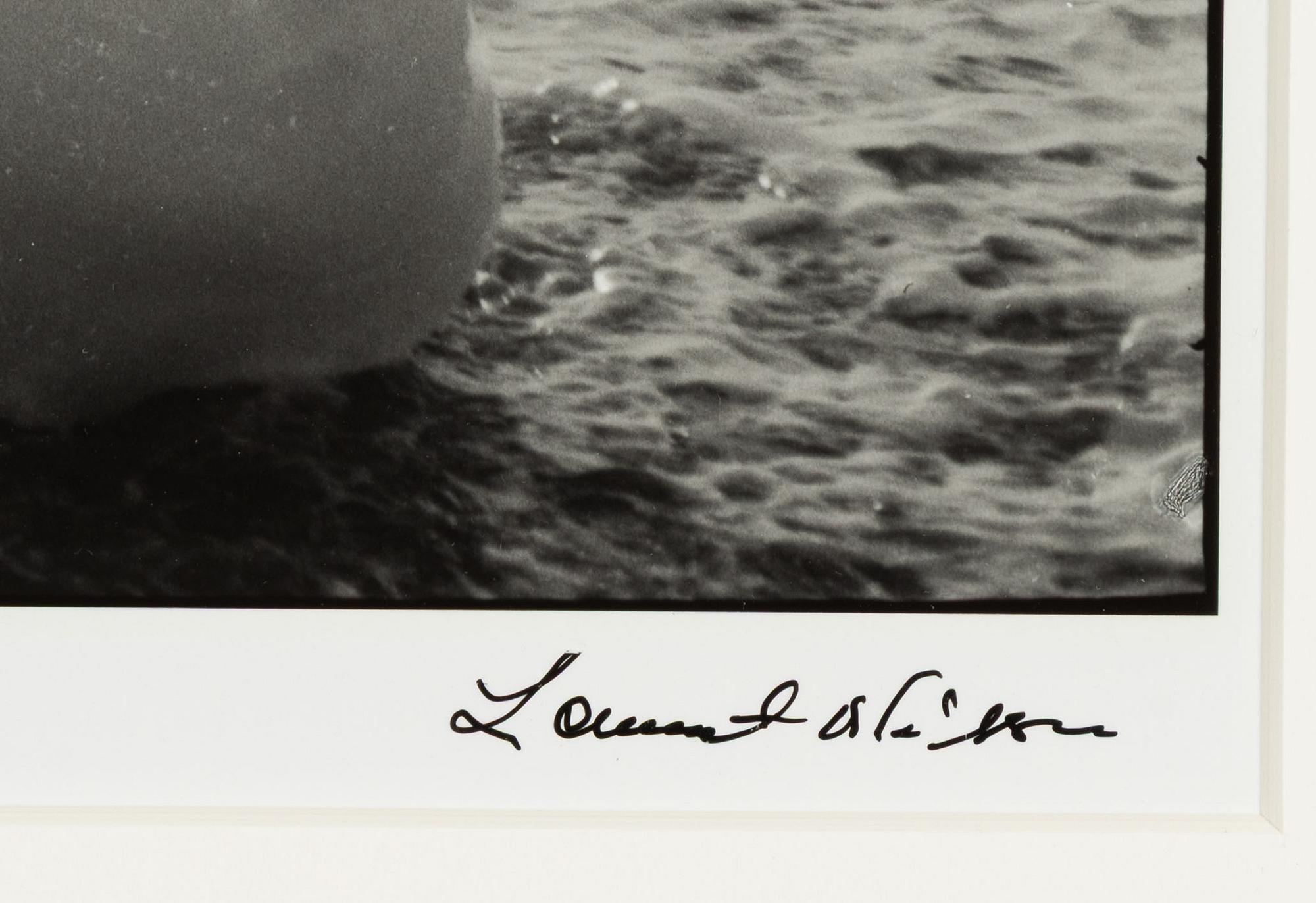 Lennart Nilsson,  "Isbjörnsjakt vid Hvitøya (Vitön), Svalbard, Norge 1947".