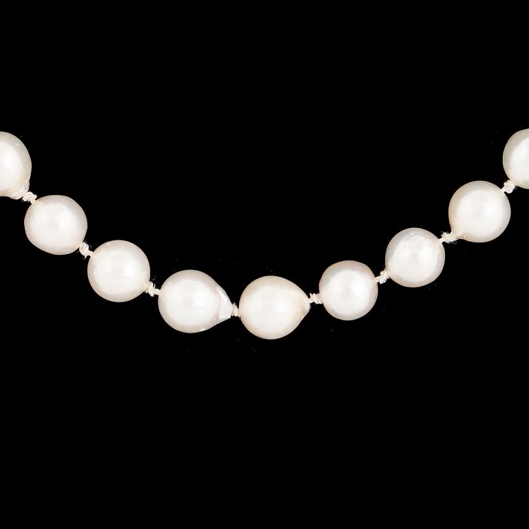 Cultured pearl necklace, replica viking clasp 18K gold.
