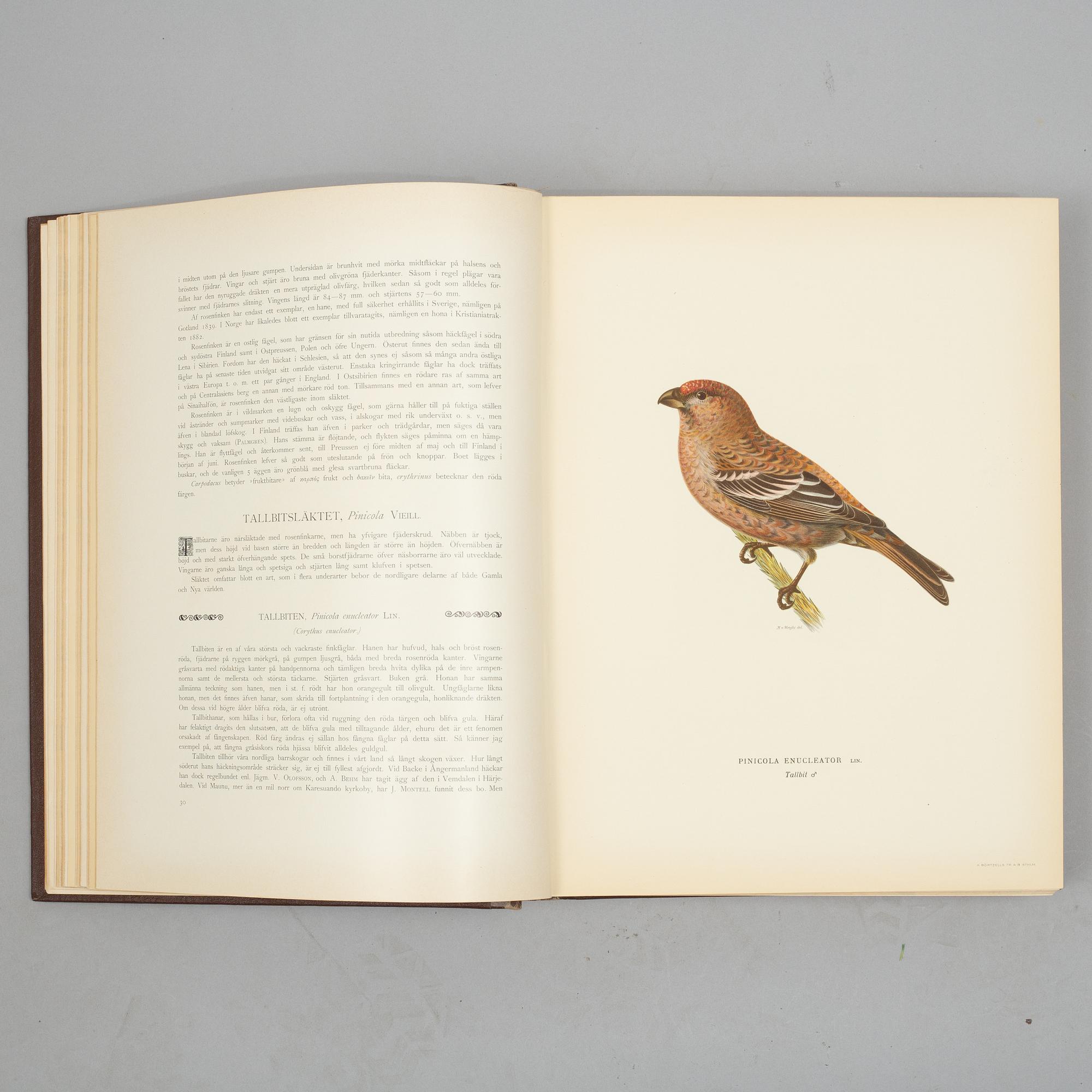 The Wright Brothers, books, volume I-III, "Svenska Fåglar", 2nd edition. A. Börtzells tryckeri AB, Stockholm, 1927-1929.