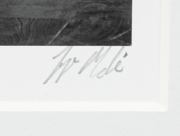 Jesper Molin, "Serene".