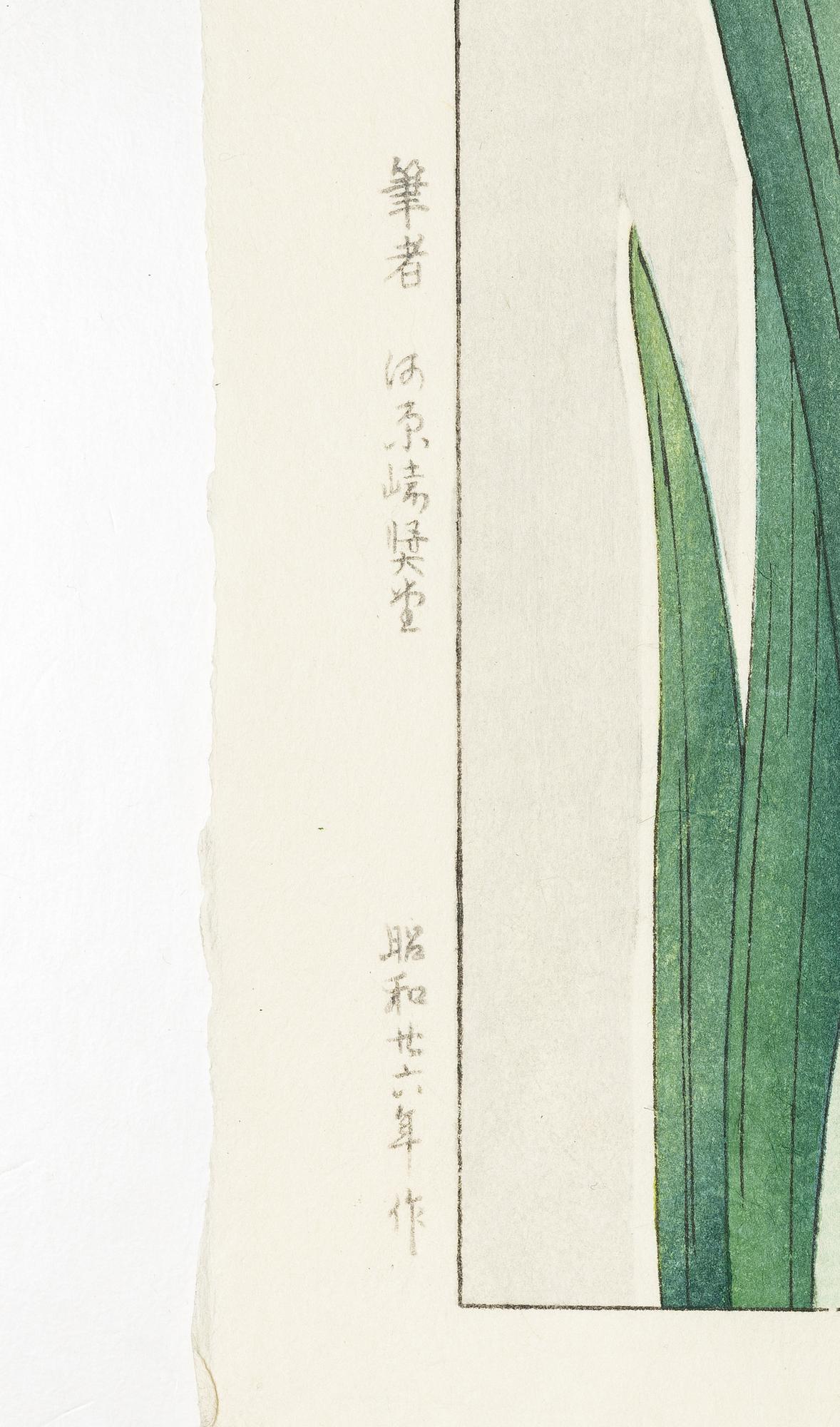 Kawarazaki Shodo, efter, Två träsnitt, "Irisar", 1900-talets andra del.