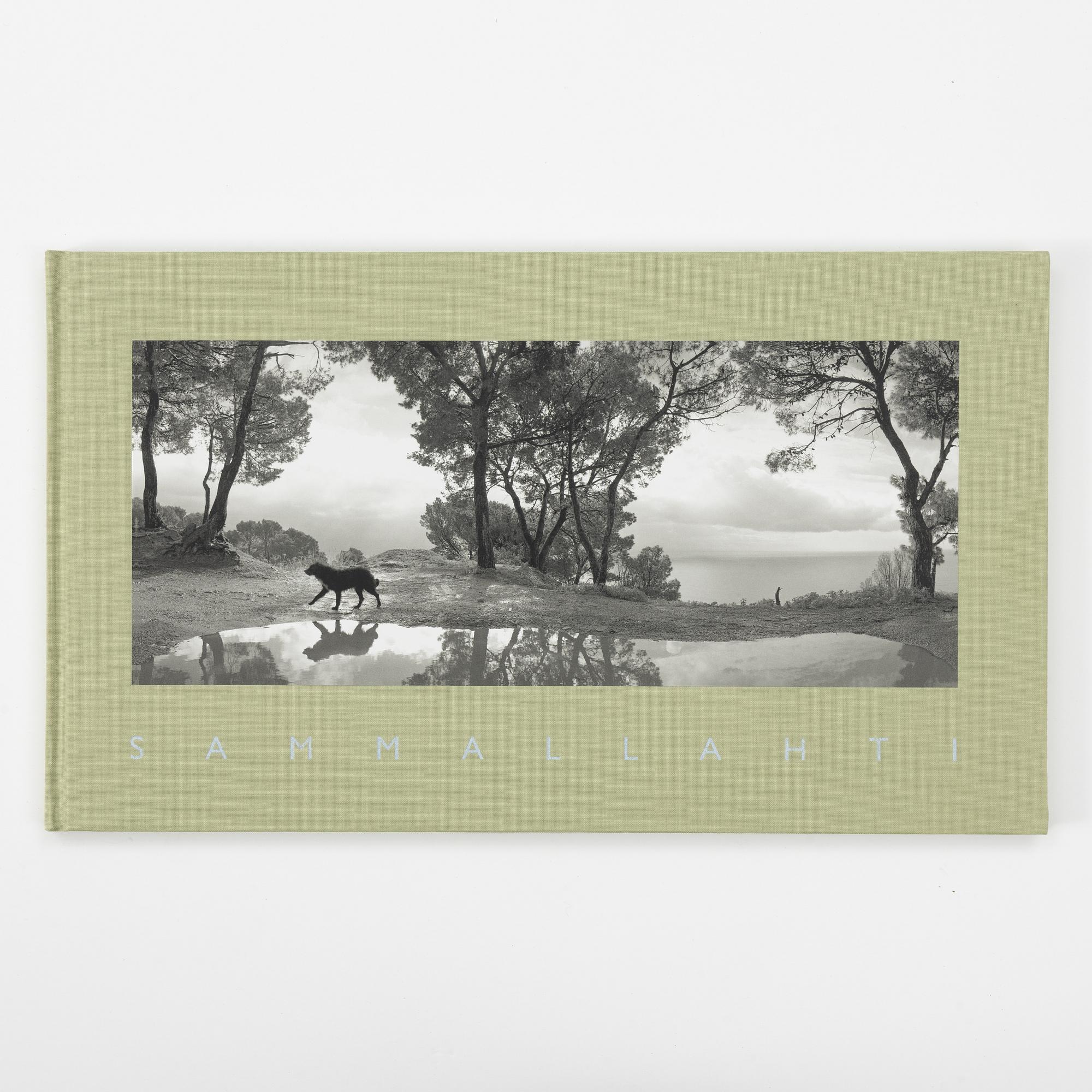 Pentti Sammallahti, "Sammallahti".