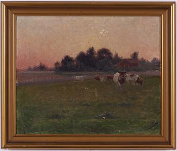 Anders Wahlgren, Betande kor.