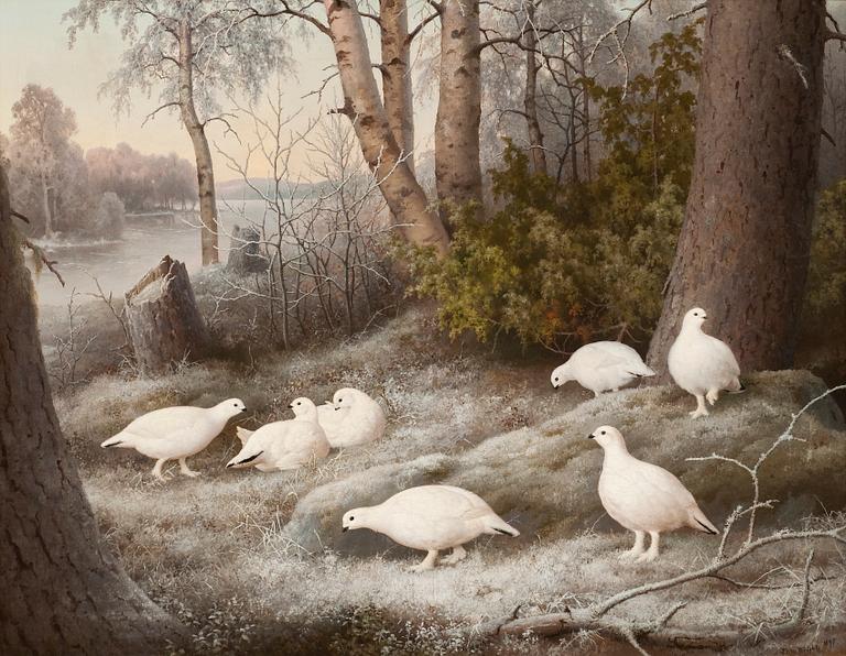 Ferdinand von Wright, " A BEVY OF PTARMIGANS BY THE RIVER".