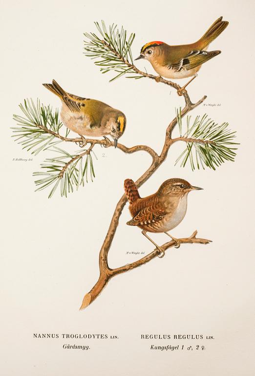 M, W & F VON WRIGHT, books, three volumes, 'Svenska fåglar', A. Börtzells tryckeri AB Stockholm, 1924-1929.