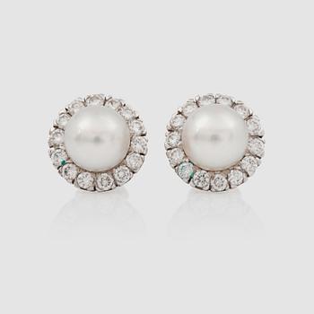 1253. A pair of cultured pearl and diamond earrings. Diamond total carat weight circa 0.80 ct.