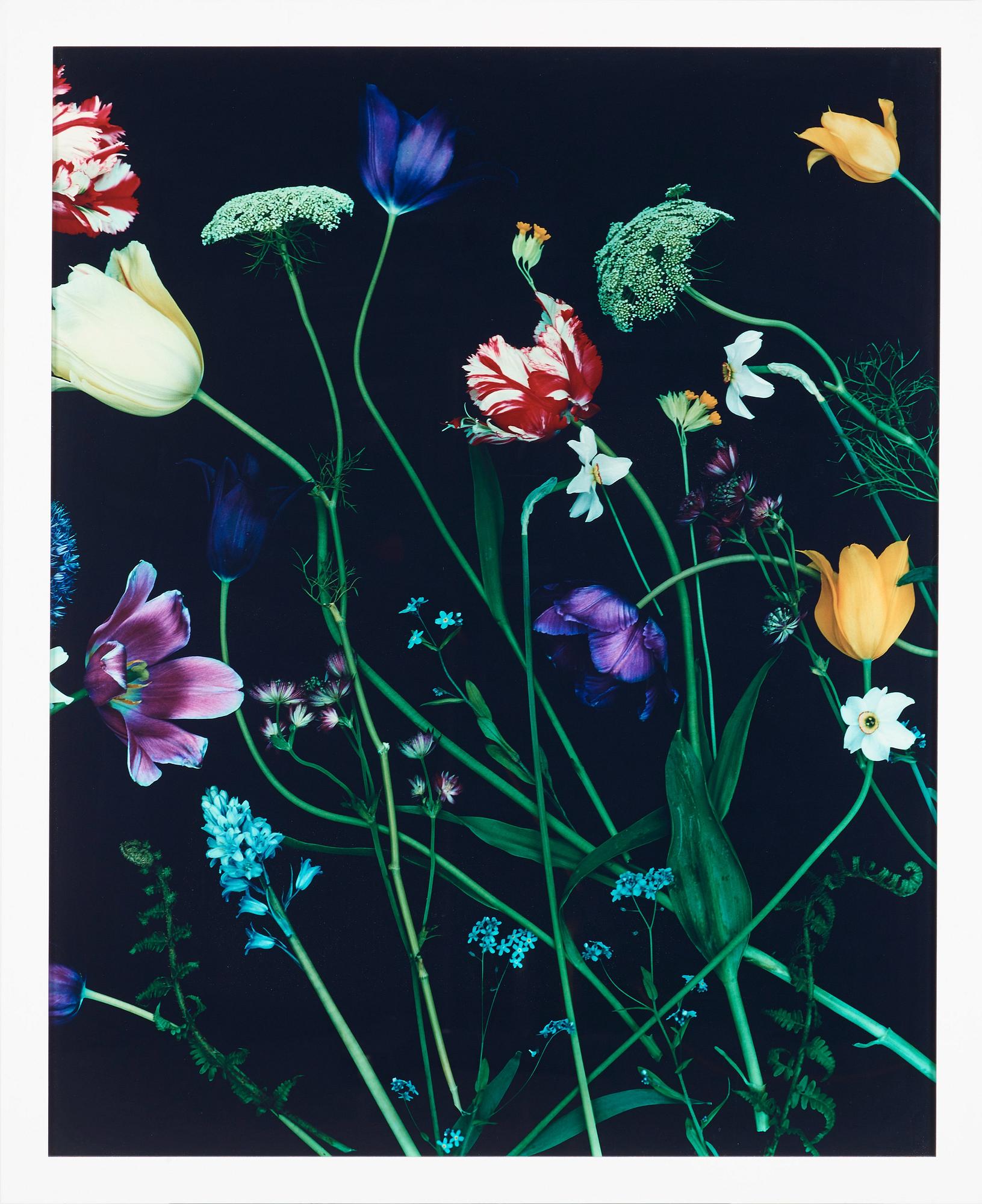 Denise Grünstein, "21 maj", 2007.