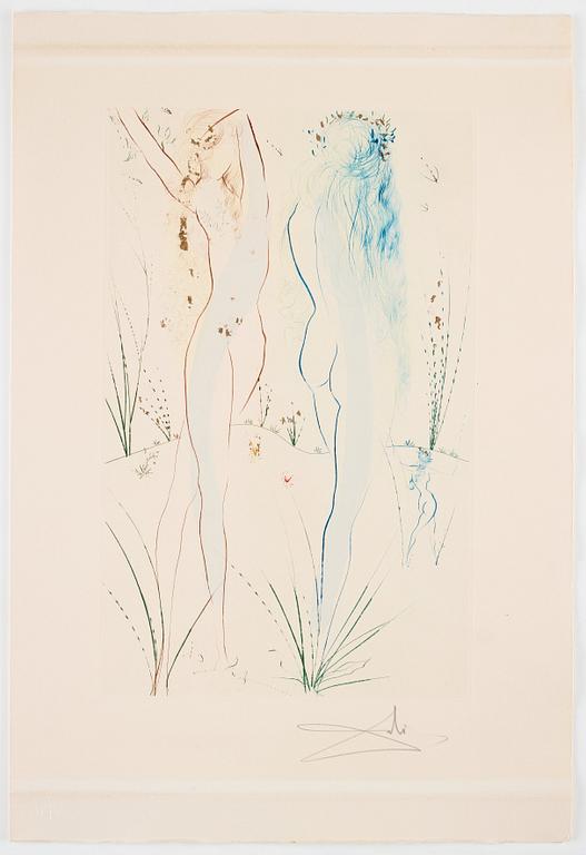 Salvador Dalí, "The song of songs of King Solomon" (12).