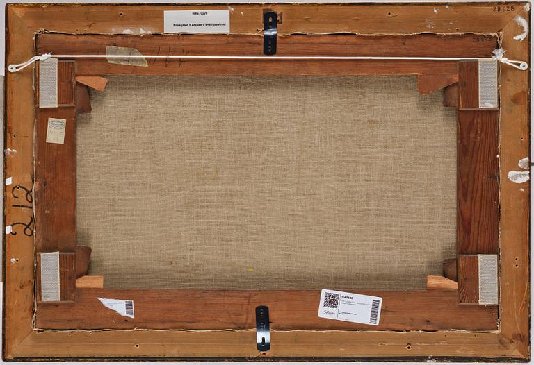 Carl Ludwig Bille, Off coast.