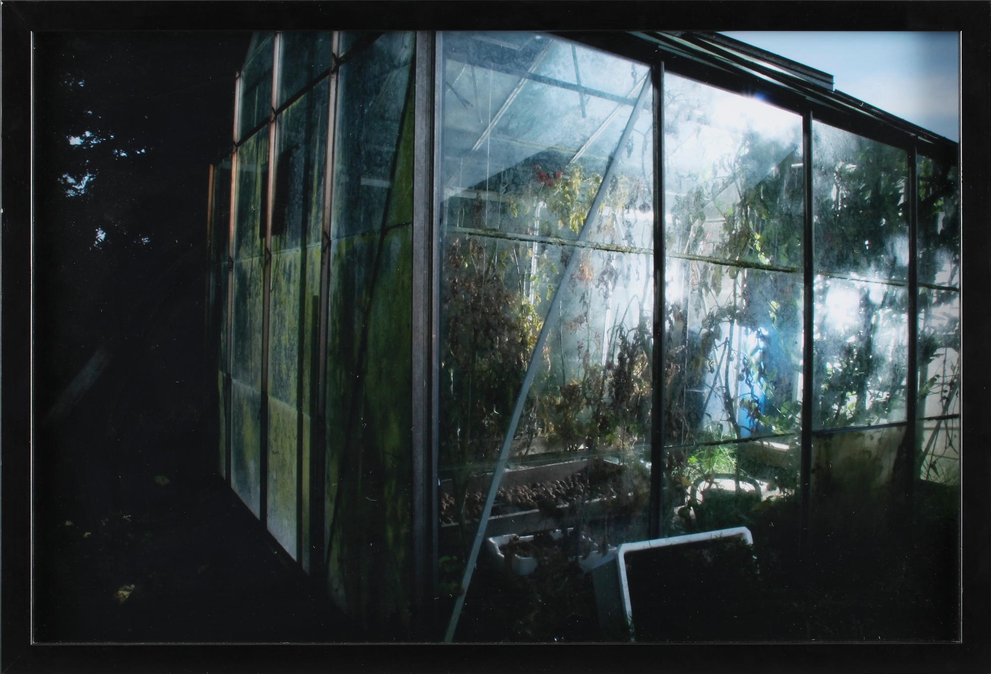 STINE ALBERTSEN, fotografi, Danmark, sign o numr 1/6 a tergo.