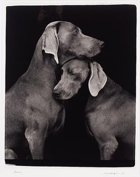 William Wegman, "Friends".