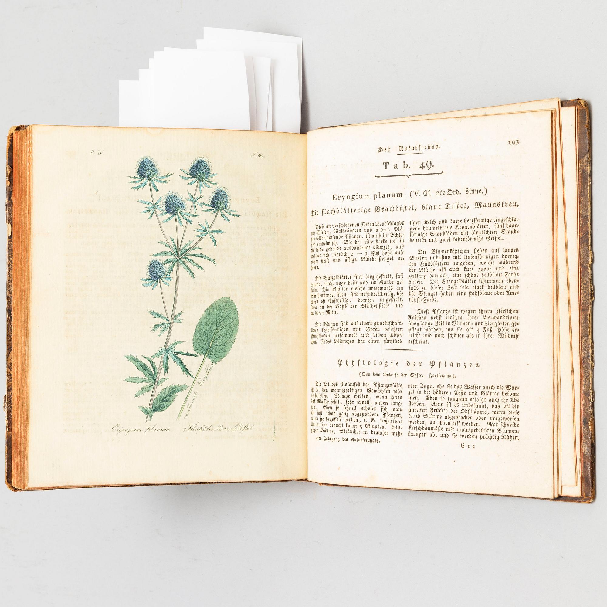 BOOK, with hand coloured dry needle engravings.