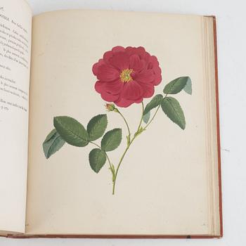 With 30 hand-coloured plates of Roses.