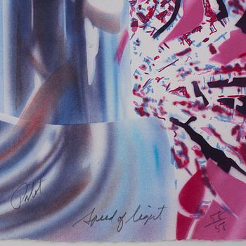 James Rosenquist, "Pilot-Speed of Light".