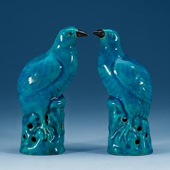 1427. A pair of turquoise glazed figures of quails, Qing dynasty, 18th Century.