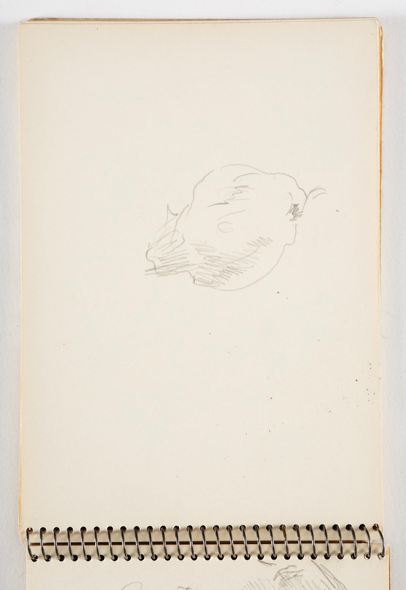 Lotte Laserstein, 4 skissböcker med blyertsteckningar.