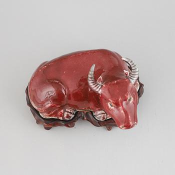 A sang-de-boeuf glazed Chinese porcelain figure of a water buffalo, around the year 1900.