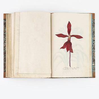 Beautiful botanical work with 177 engravings, 1641 (-44).