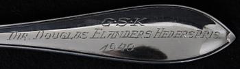 SKEDAR, 8 st, silver, "Svensk spetsig".