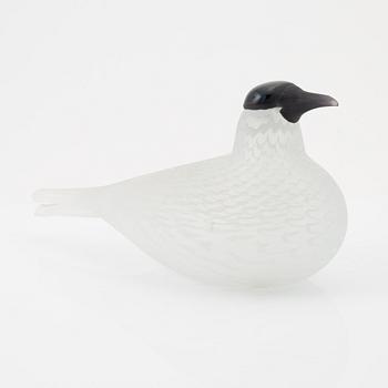 Oiva Toikka, a limited edition glass bird, Nuutajärvi, Notsjö, 573/3000, signed.