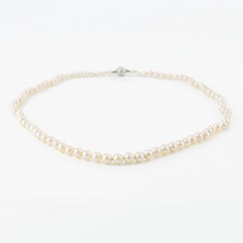 Necklace cultured pearls, clasp 18K white gold.