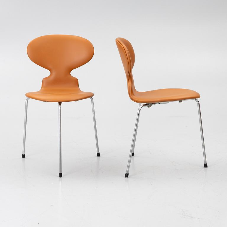 Arne Jacobsen, Stolar, 6 st, "Myran", Fritz Hansen, 1950/60-tal.