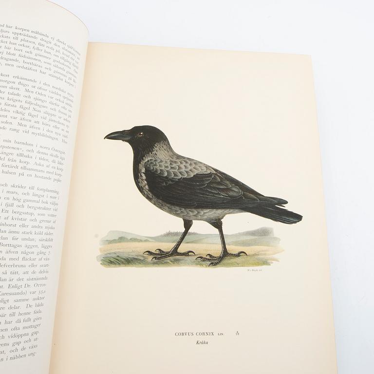The von Wright Brothers, book works, 3 volumes, "Swedish Birds", A. Börtzells Printing Co. Ltd., Stockholm, 1924-1929.