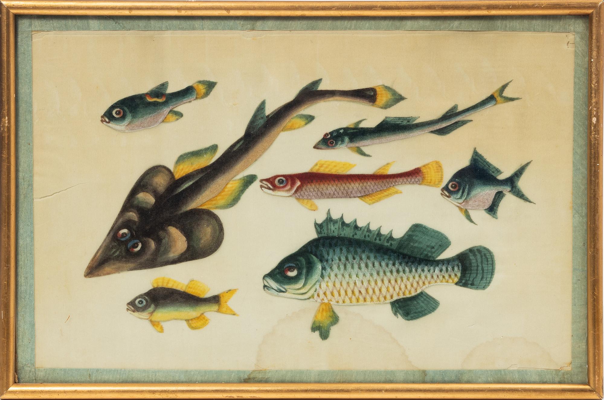 Rispappersmålningar, 9 stycken. Qingdynastin, 1800-tal.