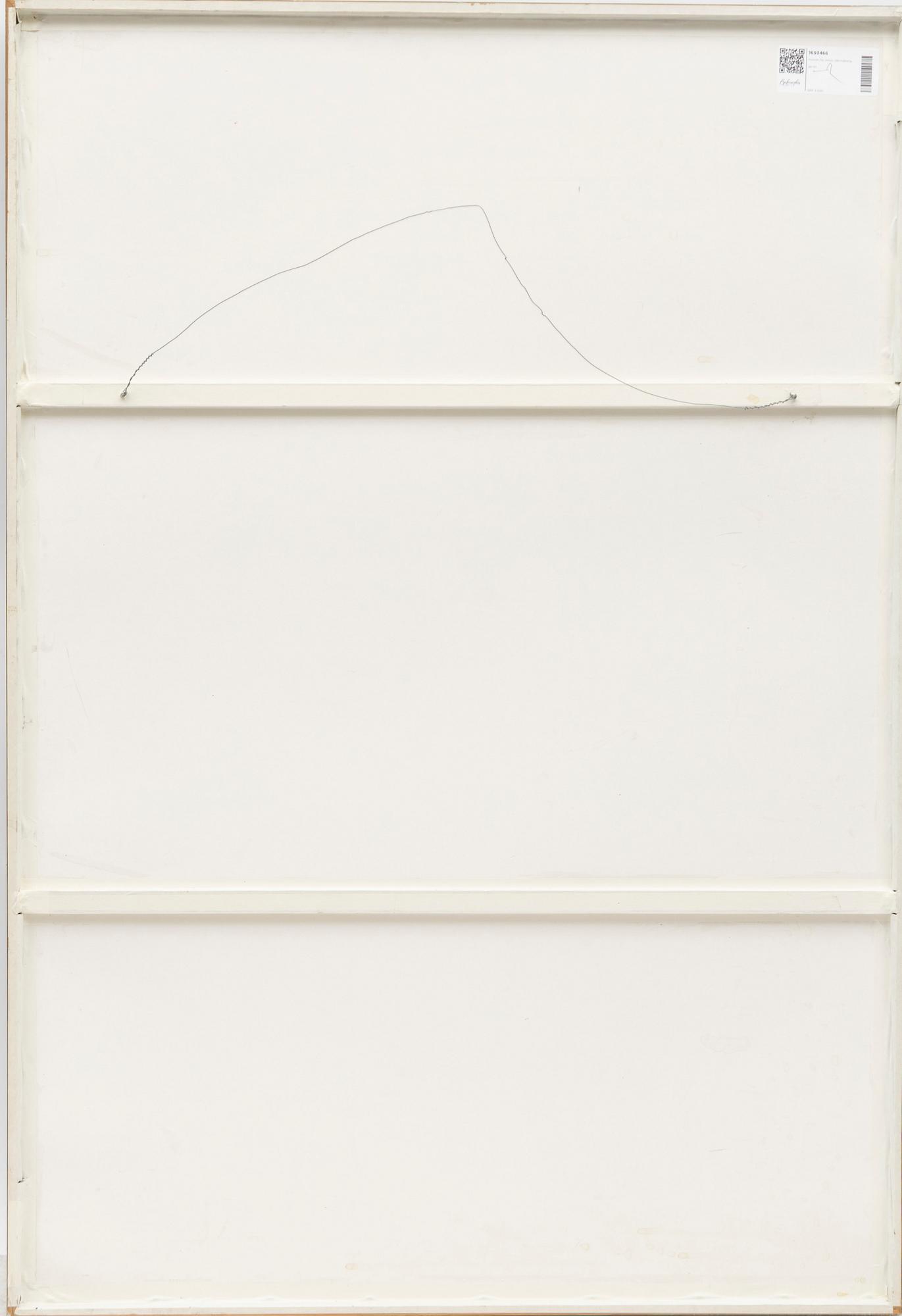 Ramón de Jesús Rodriguez, Utan titel.